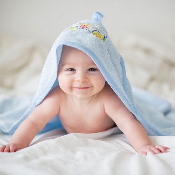 Der Babynahrungszubereiter vereint Dampfgarer und Küchenmaschine in einem